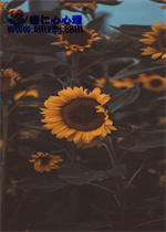 102